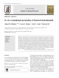 In vitro transdermal permeation of fenoterol hydrobromide