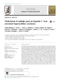 Methylation of multiple genes in hepatitis C virus associated hepatocellular carcinoma