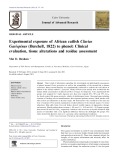 Experimental exposure of African catfish Clarias Gariepinus (Burchell, 1822) to phenol: Clinical evaluation, tissue alterations and residue assessment