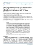 Association of genes variants in RANKL/RANK/OPG signaling pathway with the development of osteonecrosis of the femoral head in chinese population