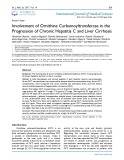 Involvement of ornithine carbamoyltransferase in the progression of chronic hepatitis C and liver cirrhosis