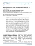 Regulation of DMT1 on autophagy and apoptosis in osteoblast