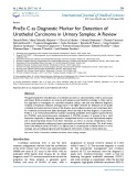 Proex C as diagnostic marker for detection of urothelial carcinoma in urinary samples: A review