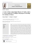 A review of three major fungal diseases of Coffea arabica L. in the rainforests of Ethiopia and progress in breeding for resistance in Kenya