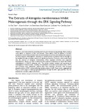 The extracts of Astragalus membranaceus inhibit melanogenesis through the ERK signaling pathway