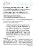 Evaluating the prognostic value of ERCC1 and thymidylate synthase expression and the epidermal growth factor receptor mutation status in adenocarcinoma non-small-cell lung cancer