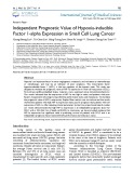Independent prognostic value of hypoxia-inducible factor 1-alpha expression in small cell lung cancer