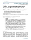 ZW800-1 for assessment of blood-brain barrier disruption in a photothrombotic stroke model