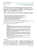 Over expression of activated signal transducer and activator of transcription 3 predicts poor prognosis in upper tract urothelial carcinoma