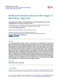 Biodiesel Production Based in Microalgae: A Biorefinery Approach