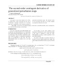 The second-order contingent derivative of generalized perturbation maps