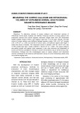 Measuring the corpus callosum and intracranial volume of Vietnamese normal adults using magnetic resonance imaging