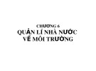 Bài giảng Kinh tế môi trường: Chương 6 - Nguyễn Ngọc Lan