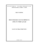 Luận văn Thạc sĩ: Phân tích báo cáo tài chính của Công ty TNHH Vạn Lợi
