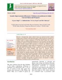 Genetic improvement of Berseem (Trifolium alexandrinum) in India: Current status and prospects