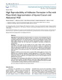 High reproducibility of adhesion formation in rat with meso stitch approximation of injured cecum and abdominal wall
