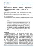 Overexpression of lncRNA H19/miR-675 promotes tumorigenesis in head and neck squamous cell carcinoma