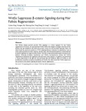 Wnt5a suppresses β-catenin signaling during hair follicle regeneration