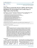 Heat killed lactobacillus reuteri GMNL-263 prevents epididymal fat accumulation and cardiac injury in high-calorie diet-fed rats