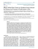 Effects of red wine tannat on oxidative stress induced by glucose and fructose in erythrocytes in vitro