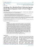 Autophagy has a beneficial role in relieving cigarette smoke induced apoptotic death in human gingival fibroblasts