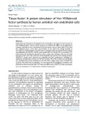 Tissue factor: A potent stimulator of Von Willebrand factor synthesis by human umbilical vein endothelial cells