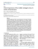 Clinical importance of the middle meningeal artery: A review of the literature