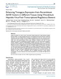 Enhancing transgene expression from recombinant AAV8 vectors in different tissues using woodchuck hepatitis virus post transcriptional regulatory element