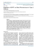 Regulation of DMT1 on bone microstructure in type 2 diabetes