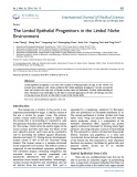 The limbal epithelial progenitors in the limbal niche environment