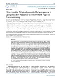 Mitochondrial dihydrolipoamide dehydrogenase is upregulated in response to intermittent hypoxic preconditioning