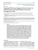 Targeting P38 pathway regulates bony formation via msc recruitment during mandibular distraction osteogenesis in rats