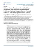 Cultured human periosteum derived cells can differentiate into osteoblasts in a perioxisome proliferator activated receptor gamma mediated fashion via bone morphogenetic protein signaling