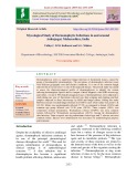 Mycological study of dermatophytic infections in and around Ambajogai, Maharashtra, India