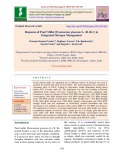 Response of pearl millet [Pennisetum glaucum L. (R. Br.)] to integrated nitrogen management