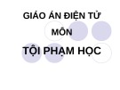 Bài giảng Tội phạm học