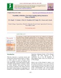 Feasibility of rubber+tea intercropping during immature phase of rubber