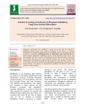 Isolation screening and selection of Phosphate solubilizing fungi from soybean Rhizosphere