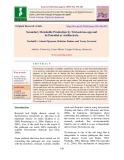 Secondary metabolite production by Trichoderma spp and its potential as antibacteria