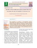 Bio-efficacy of Heterorhabditis indica against Groundnut White Grub