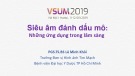 Bài giảng Siêu âm đánh dấu mô: Những ứng dụng trong lâm sàng - PGS.TS.BS Lê Minh Khôi