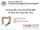 Bài giảng Hướng dẫn mới của EFSUMB về siêu âm ống tiêu hóa