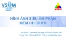 Bài giảng Hình ảnh siêu âm phần mềm chi dưới