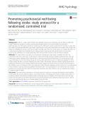 Promoting psychosocial well-being following stroke: Study protocol for a randomized, controlled trial