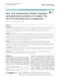 Intra- and interpersonal emotion regulation and adjustment symptoms in couples: The role of co-brooding and co-reappraisal