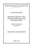 Summary thesis’ doctor of medicine: Research of hepatitis C virus genotypes in hepatocellular carcinoma patients