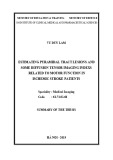 Summary of the thesis: Estimating pyramidal tract lesions and some diffusion tensor imaging indexs related to motor function in ischemic stroke patients