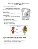Đề cương ôn tập học kì 1 môn Sinh học 6 năm 2019-2020 - Trường THPT chuyên Trần Đại Nghĩa