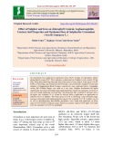 Effect of sulphur and iron on chlorophyll content, leghaemoglobin content, soil properties and optimum dose of Sulphurfor groundnut (Arachis hypogaea L.)