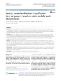 Serious juvenile ofenders: Classifcation into subgroups based on static and dynamic charateristics